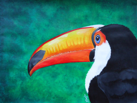 Toucan